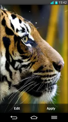 Tiger Live Wallpaper android App screenshot 2